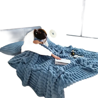 Blue textured plush blanket.