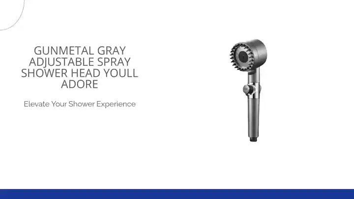 Gunmetal Gray Adjustable Spray Shower Head Youll Adore