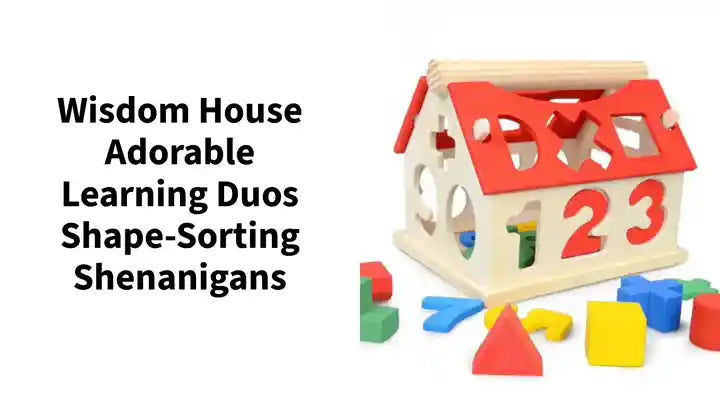 Wisdom House Adorable Learning Duos Shape-Sorting Shenanigans