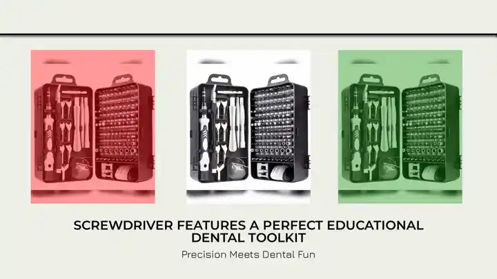 Screwdriver features a perfect educational dental toolkit
