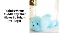 Rainbow Pup Cuddle Toy That Glows So Bright Its Illegal by@Outfy