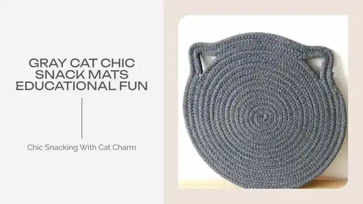 Gray Cat Chic Snack Mats Educational Fun