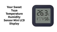 Your Sweet Tuya Temperature Humidity Sensor Mini LCD Display by@Outfy