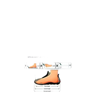 Shoe size chart with foot measurement guide.