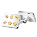 Silver shower head with six gold nozzles.