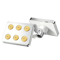 Silver shower head with six gold nozzles.