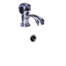 Chrome bathroom faucet.