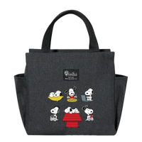 Gray Snoopy lunch bag.