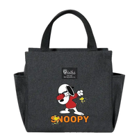 Gray Snoopy lunch bag.