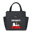 Gray Snoopy lunch bag.