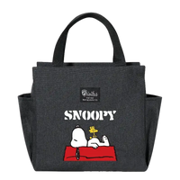 Gray Snoopy lunch bag.