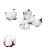 Fluffy cotton bolls.