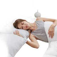 U-shaped body pillow.