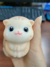 Simulation Cat Squeezing Toy Silicone Pressure Reduction Toy - 01 Style / Average Size