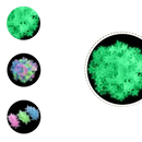 Glow-in-the-dark star and moon decorations.