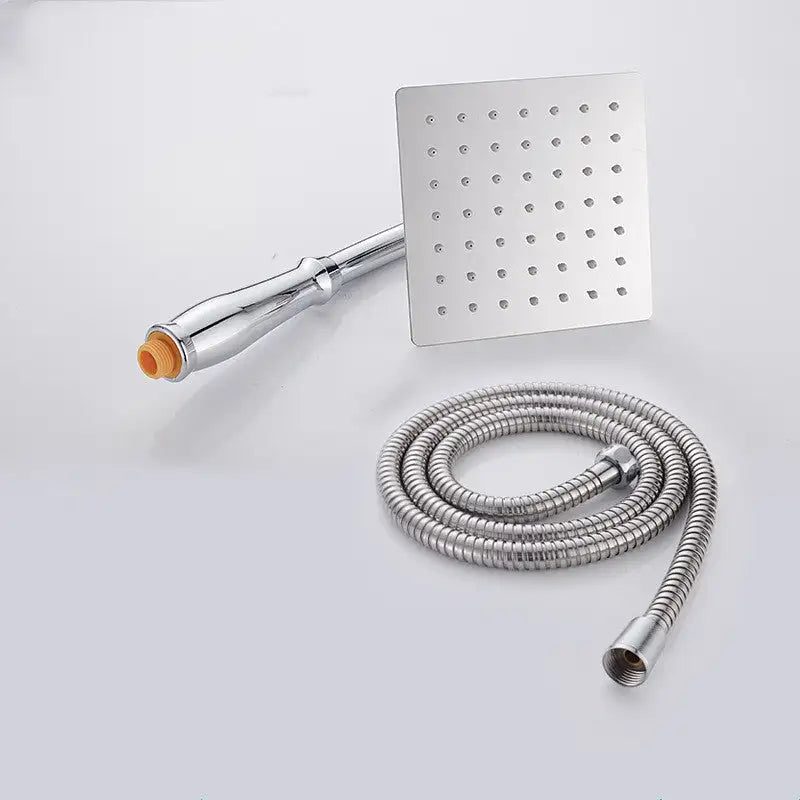 SteelSpa Handheld Shower