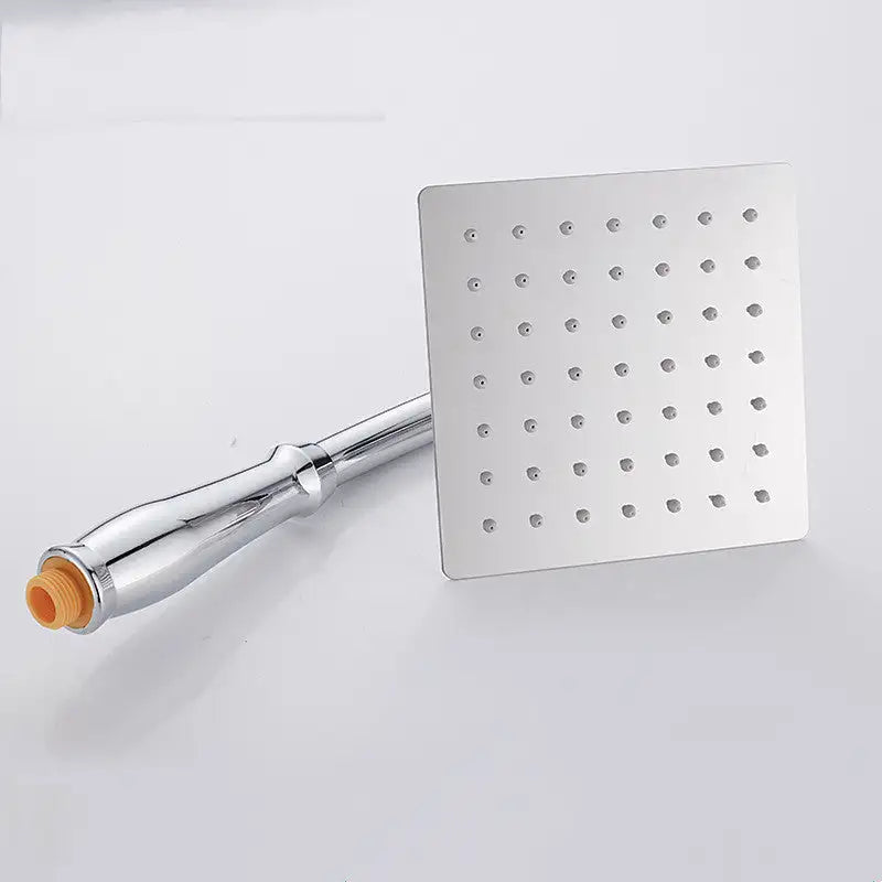 SteelSpa Handheld Shower - B