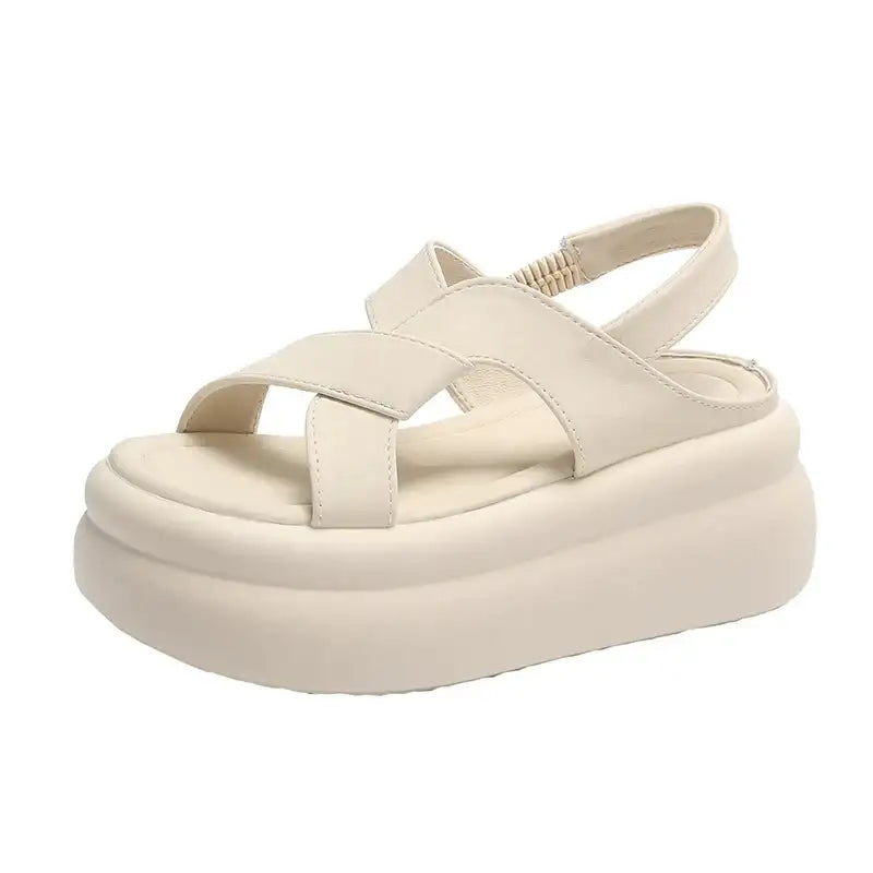 Beige / 35