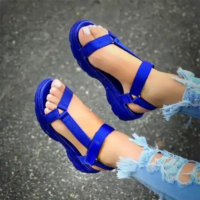 blue / 41