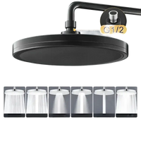 Black rainfall shower head.