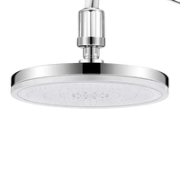 Round chrome shower head.