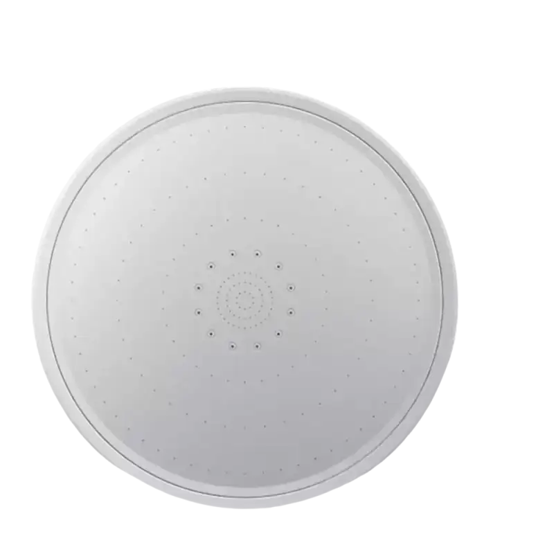 Round white shower head.