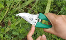Green Thumb Kit