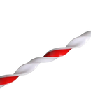 Twisted red and white candy cane.