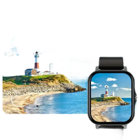 Smartwatch displaying a coastal scene.