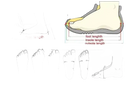 Foot sizing guide.