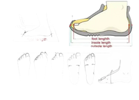 Foot sizing guide.