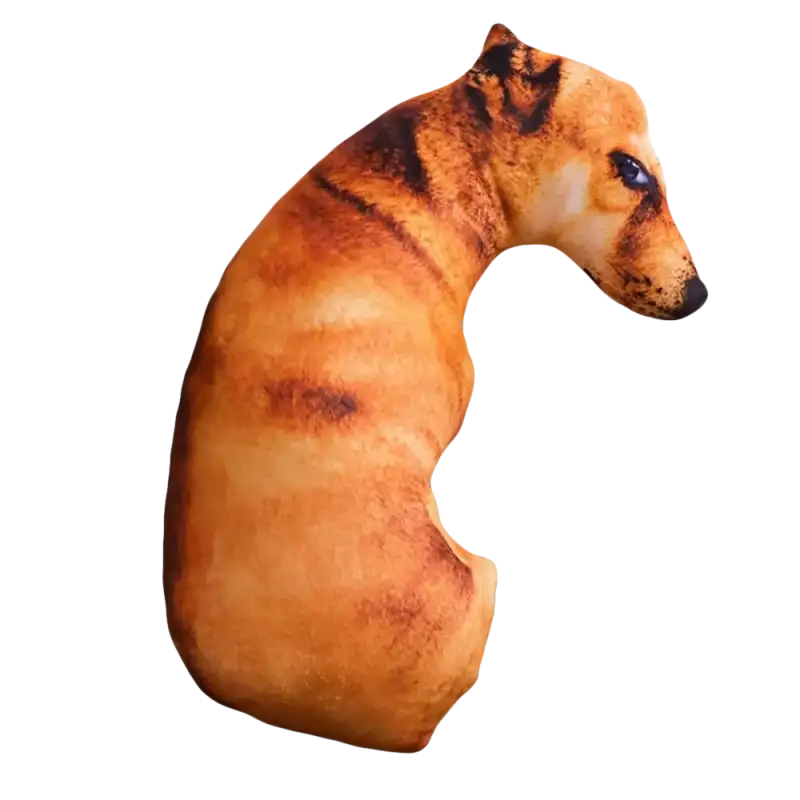 20CM-A