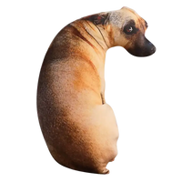 Cute bend dog dog head throw pillow looking like a lifelike animal for cozy vibes
