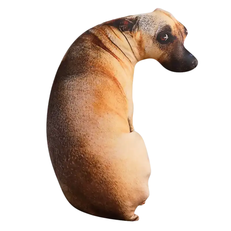20CM-B