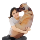 Trendy Dog Head Throw plush pillow looks like a lifelike cute dog head for cozy decor