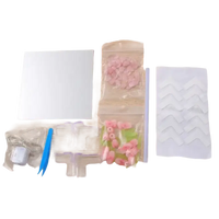 Craft kit components for Trendy Flowercube Lamp with Tulip Mischief, perfect for DIY Tulip Mirror or mirror cube lamp projects