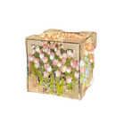Illuminated floral cube featuring Tulip Mischief in trendy flowercube lamp design