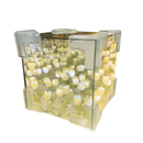 Illuminated tulip infinity cube from Trendy Flowercube Lamp with Tulip Mischief, perfect for diy tulip mirror decor