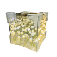 Illuminated tulip infinity cube from Trendy Flowercube Lamp with Tulip Mischief, perfect for diy tulip mirror decor
