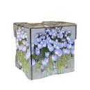 Illuminated flowercube lamp with tulips in glass cube for trendy decor or diy tulip mirror