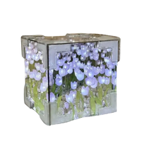 Illuminated flowercube lamp with tulips in glass cube for trendy decor or diy tulip mirror
