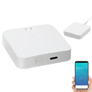 Trendy Tuya Bluetooth Gateway with Humidity Sensor for smart home setup