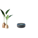 Smart home voice control with Tuya Bluetooth Gateway and humidity sensor for indoor climate