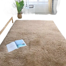 Beige shag rug.