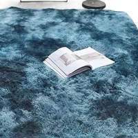 Blue shag rug with open book.