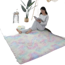 Colorful shag rug.