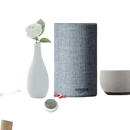 Voice-activated smart speakers.