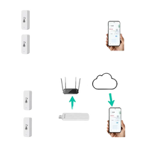 Diagram of local and remote app monitoring.