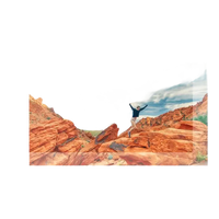 Projector screen with aspect ratio and size options.