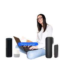 Smart home voice control system.